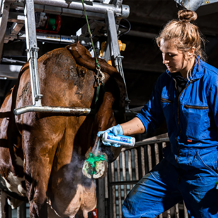 MicraDerm spray 250ml  1 Ds 12St.