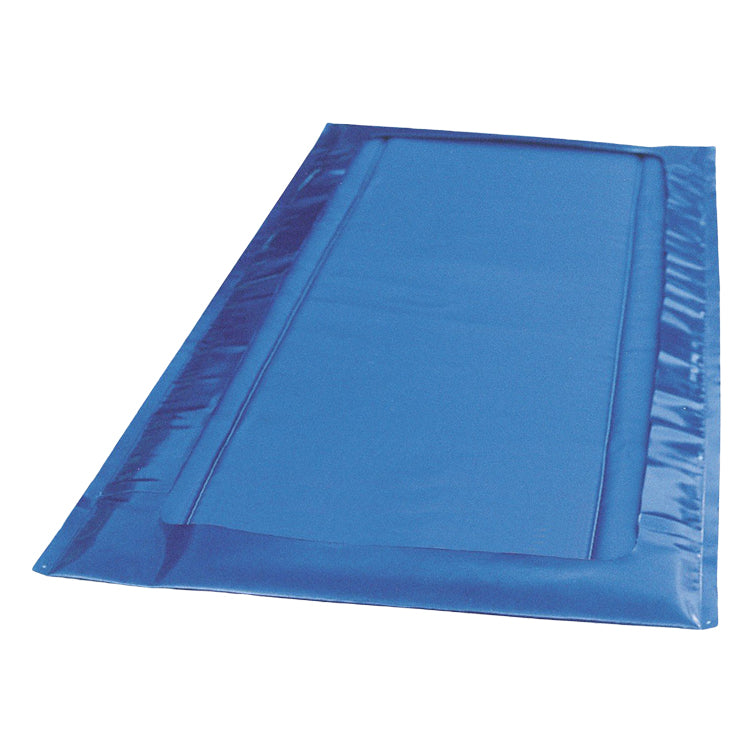 Desinfectiemat Blauw 180x90cm