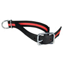 Halsband met doorngesp