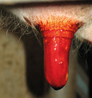 Novadan Producten bij ons verkrijgbaar voor de vakhandel